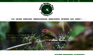 Southbirdingperu.com thumbnail