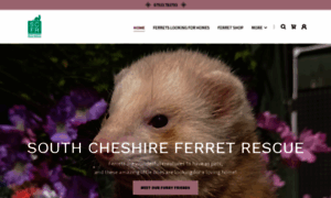 Southcheshireferretrescue.co.uk thumbnail