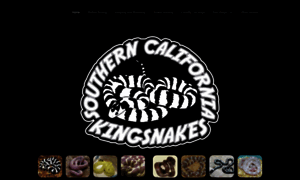 Southerncaliforniakingsnakes.weebly.com thumbnail