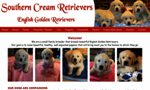 Southerncreamretrievers.com thumbnail