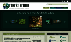 Southernforesthealth.net thumbnail