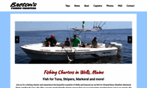 Southernmainefishingcharter.com thumbnail