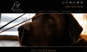 Southernretrievers.com thumbnail