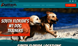 Southfloridadogtrainers.com thumbnail