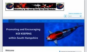 Southhantskoiclub.co.uk thumbnail