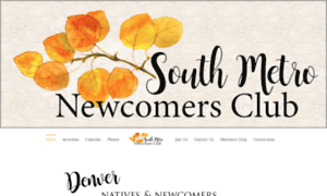 Southmetronewcomersclub.com thumbnail
