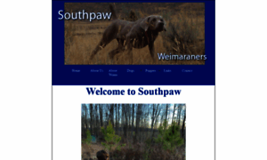 Southpawweimaraners.com thumbnail