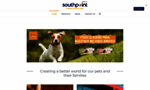 Southpointchile.com thumbnail