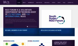Southsudanngoforum.org thumbnail
