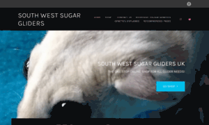 Southwest-sugargliders.co.uk thumbnail