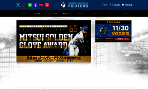 Sp.fighters.co.jp thumbnail