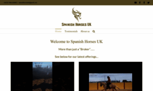 Spanishhorsesuk.com thumbnail