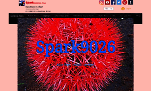 Spark9026.com thumbnail