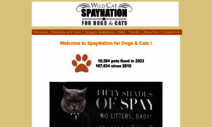 Spaynation.net thumbnail