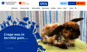 Spca.org.nz thumbnail