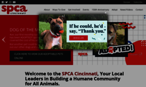 Spcacincinnati.org thumbnail