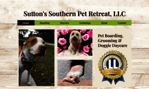 Specialpetslexington.com thumbnail