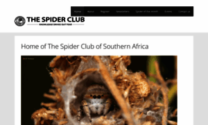 Spiderclub.co.za thumbnail