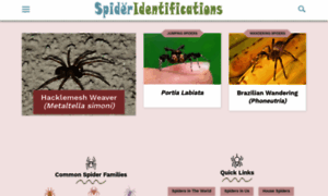 Spideridentifications.com thumbnail