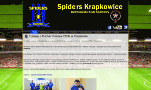Spiderskrapkowice.pl thumbnail