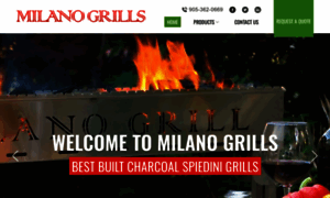 Spiedinibbq.com thumbnail