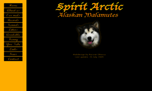 Spirit-arctic.ro thumbnail