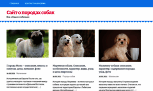 Spitz-dog.ru thumbnail