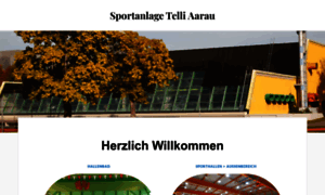 Sportanlage-telli-aarau.ch thumbnail