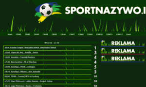 Sportnazywo.website thumbnail