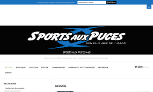 Sportsauxpuces440.com thumbnail