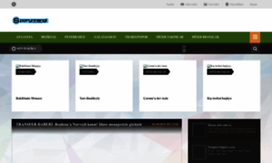 Sporunrengi.com.tr thumbnail