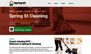 Spring-st-cleaning.com thumbnail