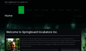 Springboardincubators.org thumbnail