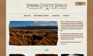 Springcoyoteranch.com thumbnail