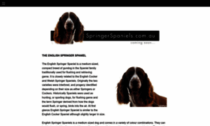 Springerspaniels.com.au thumbnail