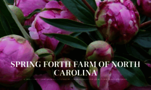 Springforthfarmnc.com thumbnail