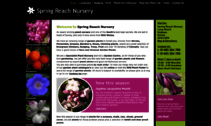 Springreachnursery.co.uk thumbnail