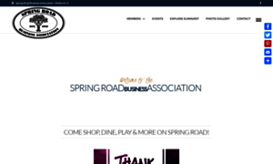 Springroad.com thumbnail