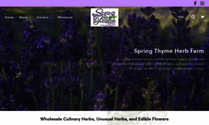 Springthymeherbs.com thumbnail