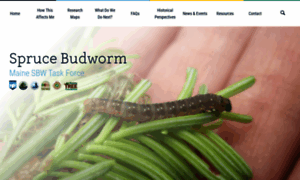 Sprucebudwormmaine.org thumbnail