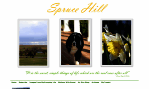 Sprucehill.typepad.com thumbnail
