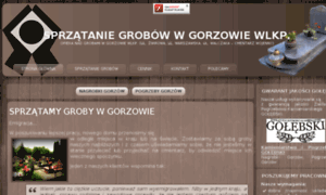 Sprzataniegrobowgorzow.pl thumbnail