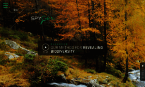 Spygen.com thumbnail