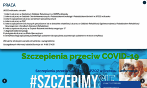 Spzoz-brzesko.pl thumbnail