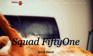 Squadfiftyone.com thumbnail