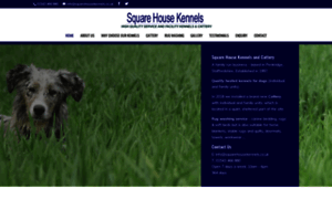 Squarehousekennels.co.uk thumbnail