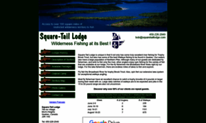 Squaretaillodge.com thumbnail