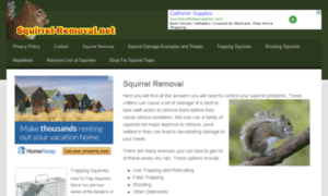 Squirrel-removal.net thumbnail