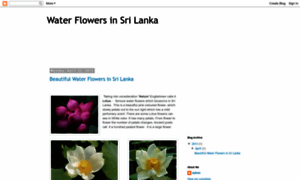 Sriwaterflowers.blogspot.com thumbnail