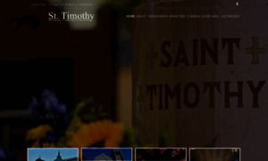 St-tims.org thumbnail